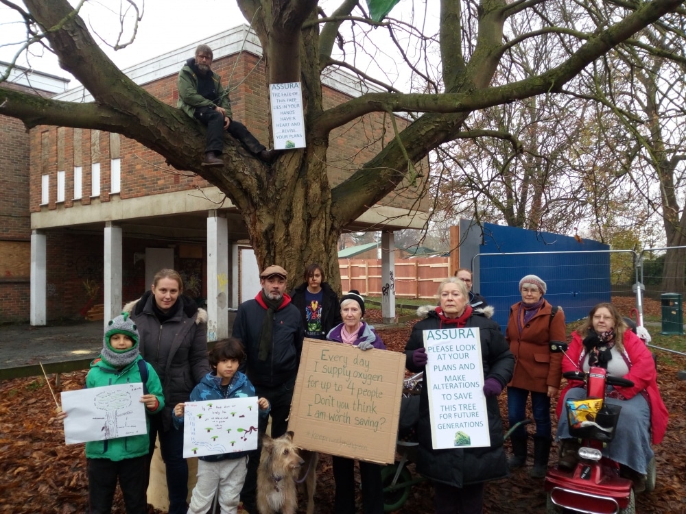 Stay of execution for tree but council are 'environmental vandals'